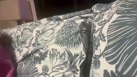 penutbutter691 online show from November 19, 11:27 pm