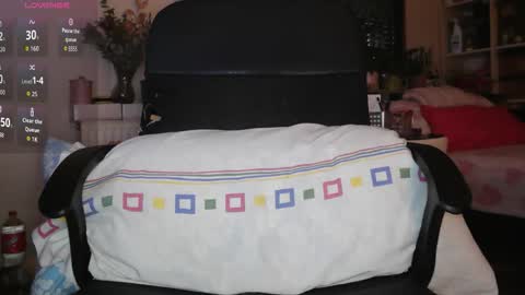 peregrintpelfox online show from February 3, 8:30 am