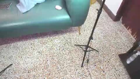 Peter online show from February 21, 6:09 pm