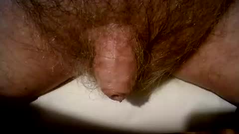 peterpeteropoulos online show from March 8, 9:08 pm