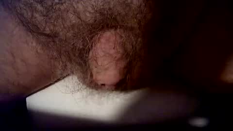 peterpeteropoulos online show from September 10, 7:47 pm