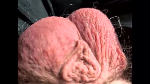 Snapshot of petrol63102 chatting on February 22, 1:09 pm petrol63102 online show from February 22, 1:09 pm