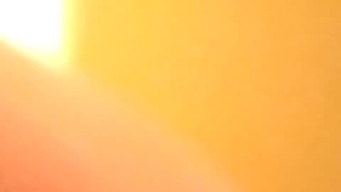 petw45 online show from February 25, 2:21 am