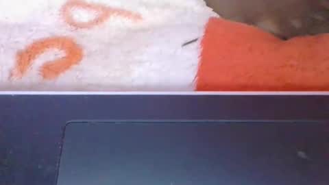 phania185885 online show from May 8, 6:08 am
