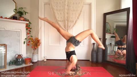 Snapshot of phoenix_taylor chatting on December 26, 12:03 am PHOENIX TAYLOR online show from December 26, 12:03 am