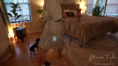 Snapshot of phoenix_taylor chatting on October 30, 12:56 am PHOENIX TAYLOR online show from October 30, 12:56 am