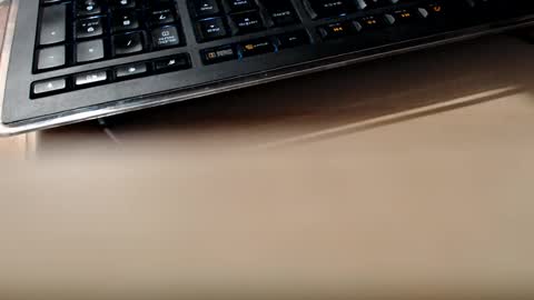 pier49x online show from February 13, 1:50 am