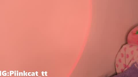 Snapshot of piinkcat chatting on December 3, 5:37 am Emi online show from December 3, 5:37 am