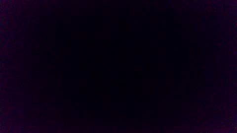 Pincoffin online show from November 12, 11:25 pm