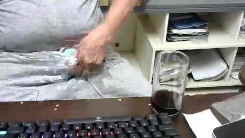 Snapshot of pinheiro86 chatting on November 26, 11:22 am pinheiro86 online show from November 26, 11:22 am