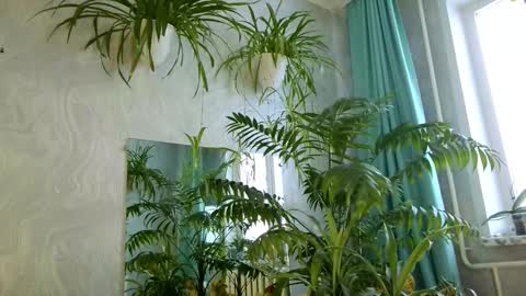 Tatyana online show from February 11, 5:34 am