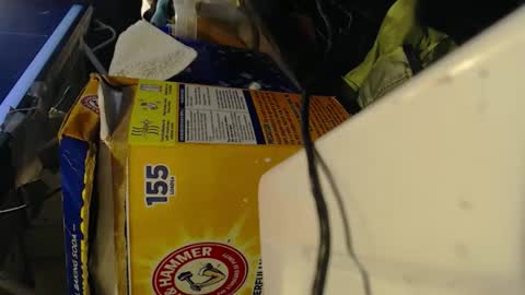 Pisanobear Daddy loose open HairyHole poppers toys online show from February 7, 10:13 pm