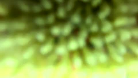 Mike online show from February 4, 9:09 pm