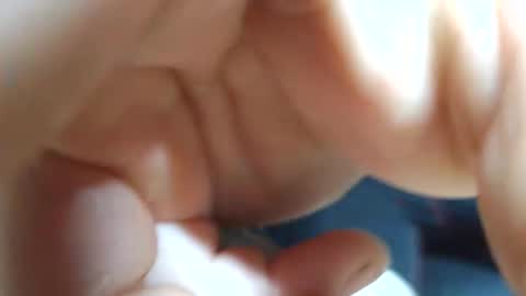 planta722 online show from April 4, 7:28 am