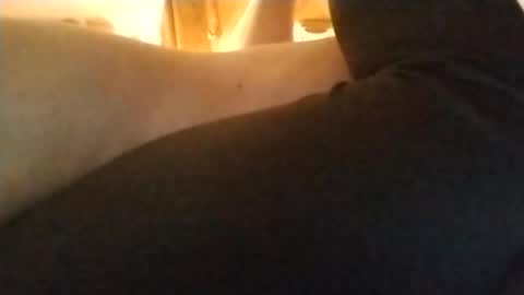 Nichole Vixen  Jacob online show from November 5, 5:35 pm