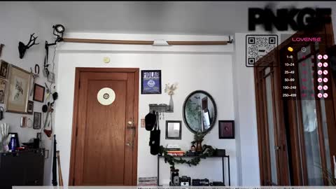 Snapshot of pnkgf chatting on December 8, 4:50 pm pnkgf online show from December 8, 4:50 pm