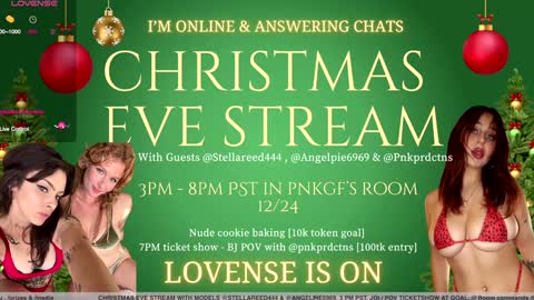 Snapshot of pnkgf chatting on December 24, 11:00 pm pnkgf online show from December 24, 11:00 pm