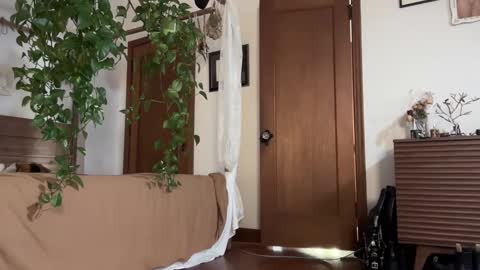 Snapshot of pnkgf chatting on February 19, 12:46 am pnkgf online show from February 19, 12:46 am