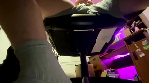 pnwbull25 online show from August 1, 7:18 am