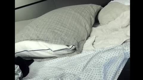 Snapshot of pockitrocket chatting on March 2, 12:35 am Rocket online show from March 2, 12:35 am