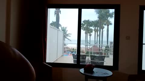 Paul online show from December 16, 7:57 am