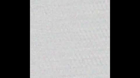 Polly online show from March 12, 12:26 pm