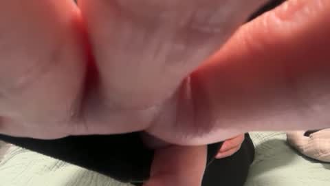 Polly Pocket online show from November 10, 2:10 am