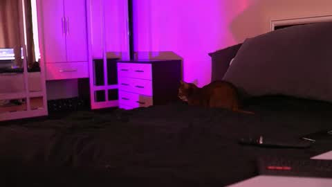 Snapshot of polusladkoye chatting on September 17, 1:02 pm Megan.online  online show from September 17, 1:02 pm