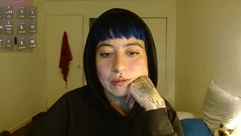 Poly online show from February 16, 1:46 am