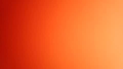 pop297248 online show from May 3, 2:12 pm