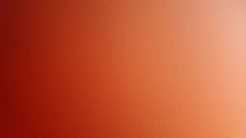 pop297248 online show from May 6, 2:00 pm