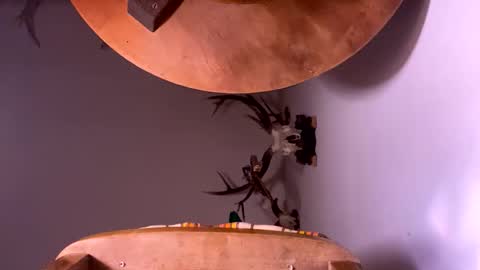 Snapshot of pornstriker chatting on October 19, 4:24 am PornStriker online show from October 19, 4:24 am