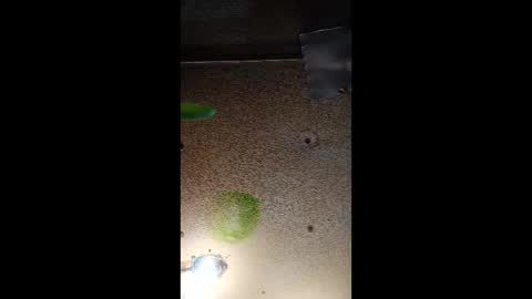 Snapshot of potsymcstoner chatting on September 12, 5:46 pm potsymcstoner online show from September 12, 5:46 pm