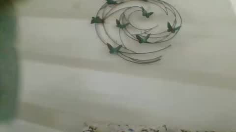 Snapshot of praveen100797 chatting on October 2, 11:17 am praveen100797 online show from October 2, 11:17 am