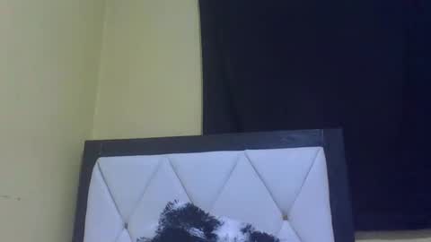 Snapshot of prekky chatting on February 27, 7:14 pm lynn online show from February 27, 7:14 pm