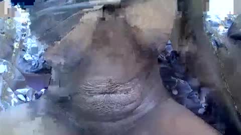 Snapshot of prettyelsie chatting on November 16, 8:31 am Prettiesexxy online show from November 16, 8:31 am