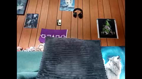 prettysolid7 online show from October 13, 1:11 pm