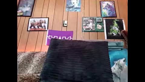 prettysolid7 online show from February 14, 1:08 pm