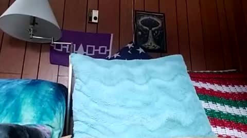 Snapshot of prettysolidd7 chatting on December 4, 2:59 pm prettysolidd7 online show from December 4, 2:59 pm