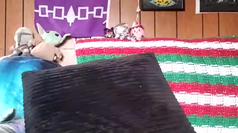 Snapshot of prettysolidd7 chatting on January 4, 2:35 pm prettysolidd7 online show from January 4, 2:35 pm