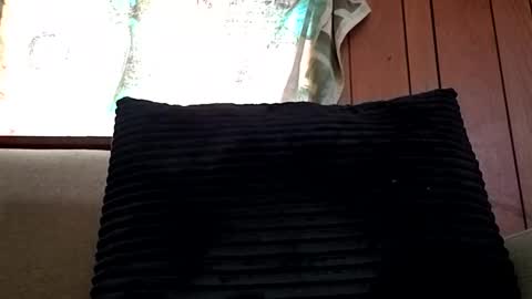 Snapshot of prettysolidd7 chatting on February 15, 12:54 pm prettysolidd7 online show from February 15, 12:54 pm