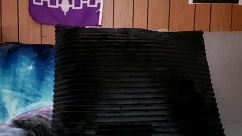 Snapshot of prettysolidd7 chatting on February 24, 11:21 am prettysolidd7 online show from February 24, 11:21 am