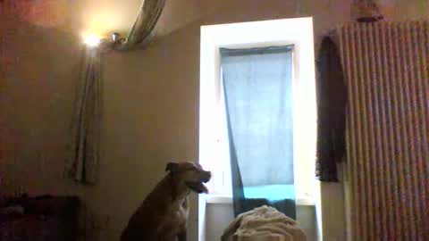 BBW facial slave online show from January 8, 12:40 pm