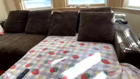 Princess Arii online show from December 5, 7:43 pm