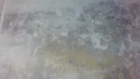 Prince edi online show from May 24, 5:51 pm