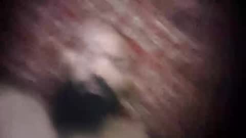 Snapshot of princeabdawal chatting on November 3, 5:36 pm princeabdawal online show from November 3, 5:36 pm