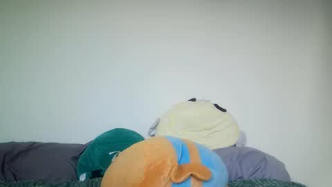 Tiffany online show from February 27, 9:04 pm