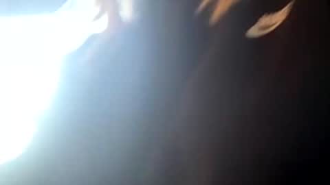 princesskitties online show from May 10, 4:28 am