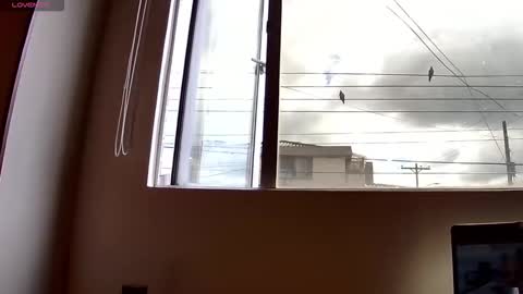 Probardetodo independent model online show from December 3, 2:15 pm