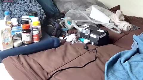 Probardetodo independent model online show from January 9, 6:31 pm